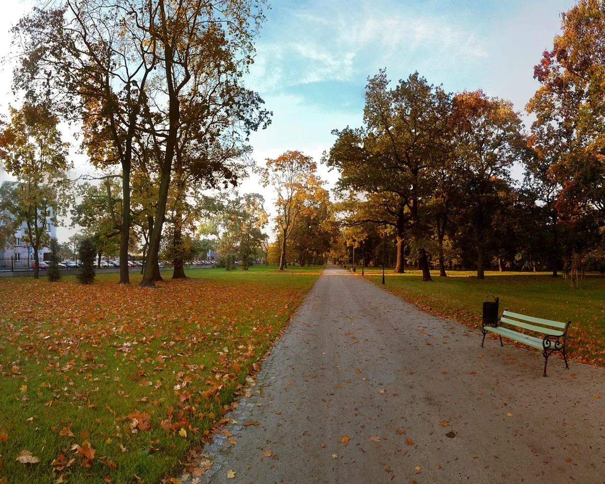Skierniewice